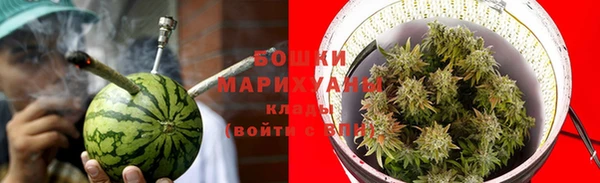 прущие грибы Верея