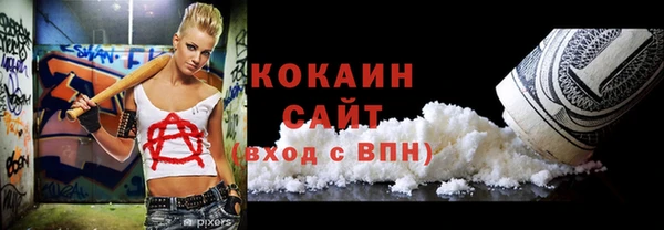 прущие грибы Верея