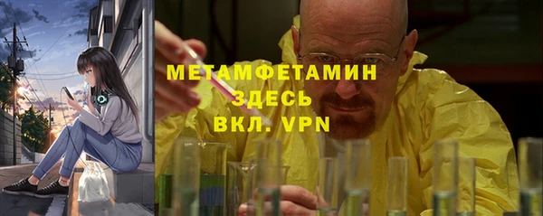прущие грибы Верея