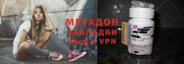 прущие грибы Верея