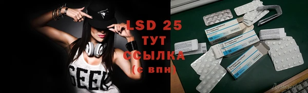 прущие грибы Верея