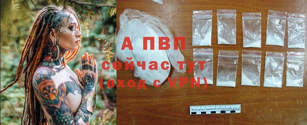 прущие грибы Верея