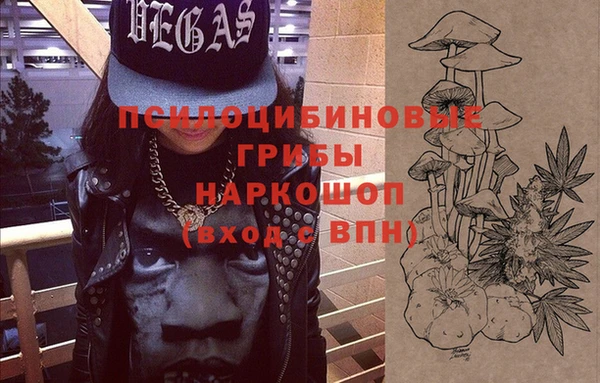прущие грибы Верея