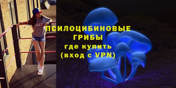 прущие грибы Верея
