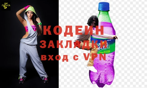 прущие грибы Верея