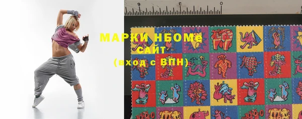 прущие грибы Верея