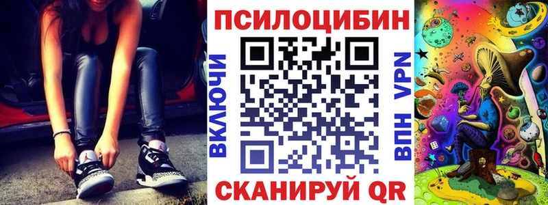Псилоцибиновые грибы Psilocybe  Навашино 